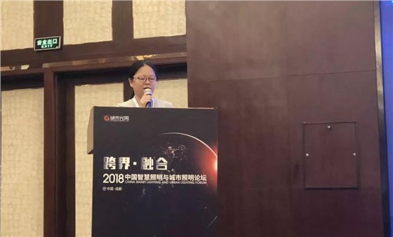 四川省電氣照明學(xué)會(huì)常務(wù)理事長(zhǎng)黃云飛女士