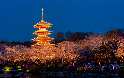 薛剛 | 中國(guó)傳統(tǒng)建筑之幻化——老樹(shù)新花